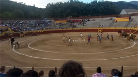 David y Adolfo Martín, premiados en la feria de Navacerrada