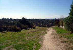 El Ayuntamiento organiza varias salidas para conocer el entorno natural de Torrelodones