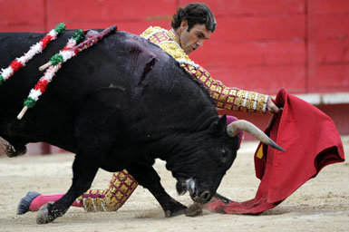 El maestro José Tomás