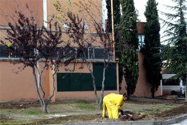 Los trabajos de embellecimiento se amplían a la zona situada junto al polideportivo