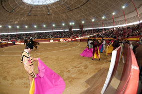 Valdemorillo anuncia los carteles de la feria taurina de San Blas 