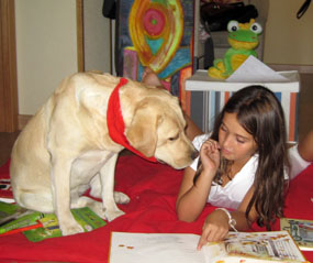 Nuevo taller de lectura emocional con perros