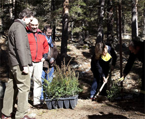 La Comunidad inicia un proyecto de recuperación de especies de flora protegida en el Parque Nacional 