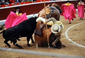 Se entregan los premios del Concurso de Fotografía Taurina de Guadarrama