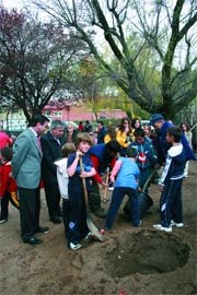 ‘Plantamos 1.000 árboles’