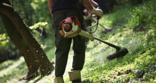 Se desbrozan más de 100.000 metros cuadrados de parcelas y calles para evitar incendios