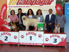 Más de 100 participantes se dan cita en la séptima edición del Concurso Nacional Canino de Galapagar