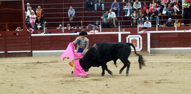 Guadarrama programa una feria de novilladas de primer nivel