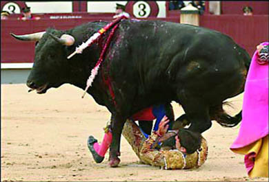 Un momento del percance del novillero madrileño / www.las-ventas.com