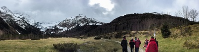 Cabra Montés de la Sierra del Guadarrama al Parque Nacional de los Pirineos