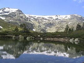 La Red GumNet convierte el Parque Nacional de la Sierra del Guadarrama en un “laboratorio” científico