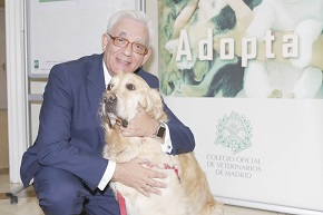 La terapia asistida con mascotas se extiende a tres hospitales madrileños