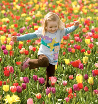 Fiesta de la primavera en Cercedilla 