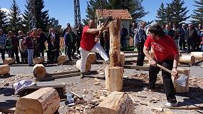 Concurso de arrastre y corta de troncos en Cercedilla