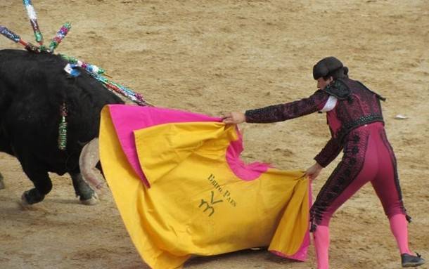 Toros sí, toros no 