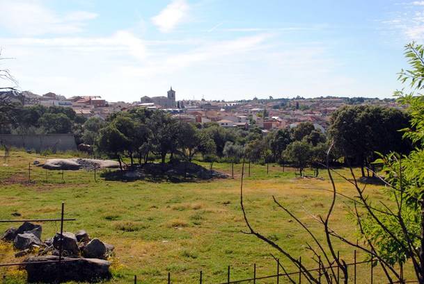 El Ayuntamiento reúne a los ganaderos de Valdemorillo 