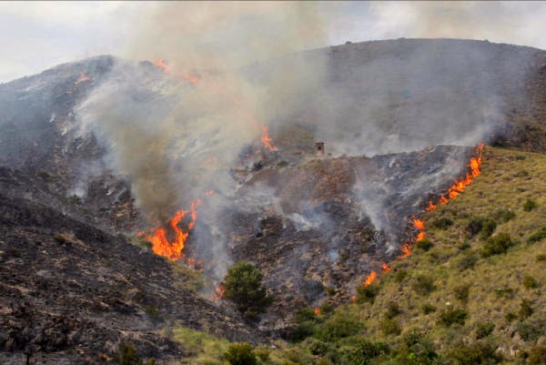 Acto simbólico con motivo del 17 aniversario del incendio de Abantos