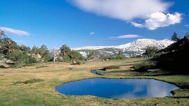 Equo denuncia el ‘abandono’ del Parque del Guadarrama 