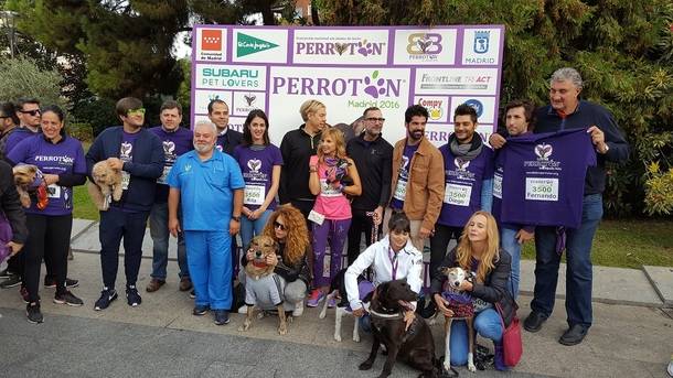 La Comunidad de Madrid fomenta la adopción y tenencia responsable de mascotas