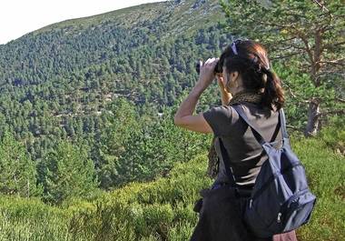 Jornada de avistamiento y reconocimiento de aves en Robledo de Chavela 