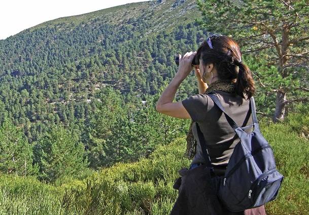 Jornada de avistamiento y reconocimiento de aves en Robledo de Chavela 