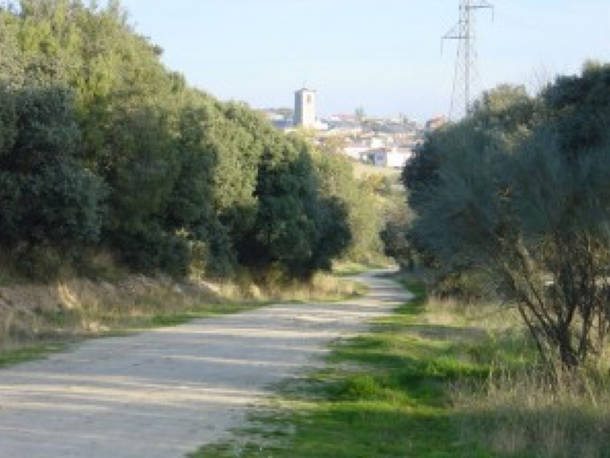 Hallado muerto el pasado domingo un ciclista en un camino de Colmenarejo