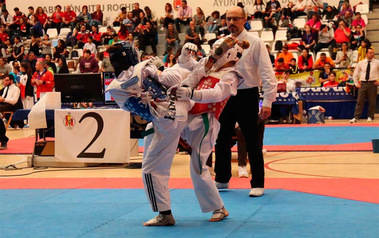 Más de 400 taekwondistas se citan el domingo en Moralzarzal