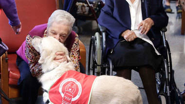 El Hospital de Guadarrama ya forma parte del servicio de Intervención Canina de la Comunidad de Madrid