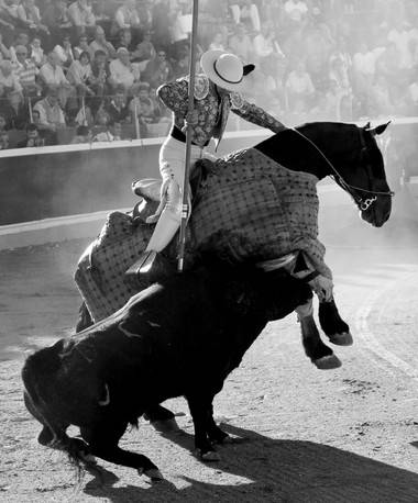 VII Edición del Concurso de Fotografía taurina de Guadarrama