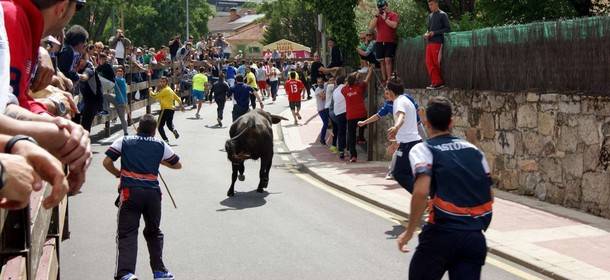 Comienzan en Collado Villalba las fiestas en honor de su patrón San Antonio de Padua