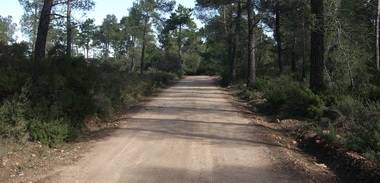 Se restringe el tránsito de vehículos a motor por pista forestal del Monte Abantos