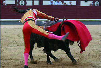 Valverde actuará en Alpedrete mañana sábado  (Foto: www.las-ventas.com)