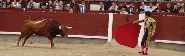 La Comunidad de Madrid ha autorizado en lo que va de año 175 festejos taurinos