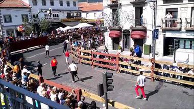 Cerradas definitivamente los carteles de la feria de Novilladas de Guadarrama