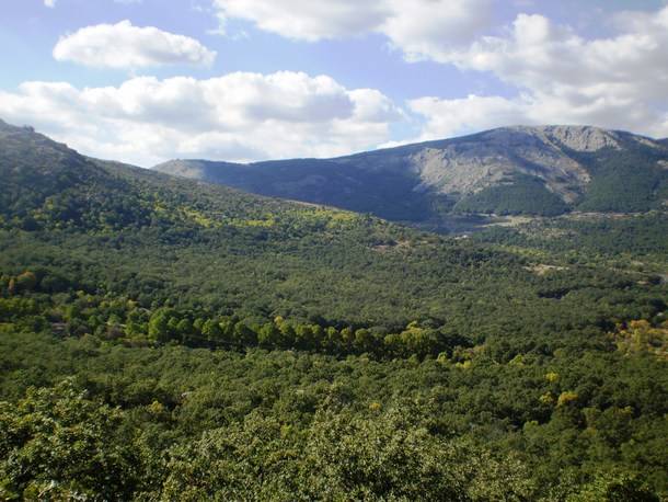 Entorno Escorial y la recuperación y conservación del Monte Abantos