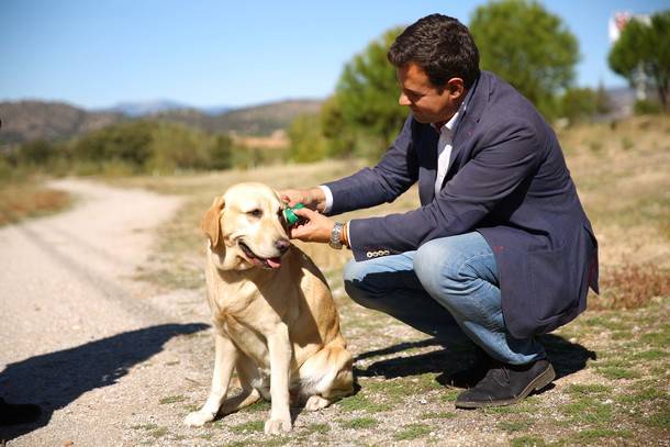 Las Rozas pone en marcha una campaña para concienciar sobre la tenencia responsable de animales