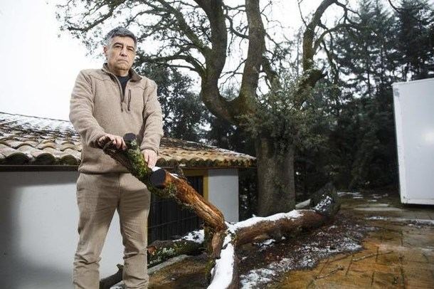 Recogida de firmas para ayudar al vecino de El Escorial multado con 100.000 euros por talar un árbol