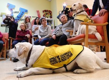 La Comunidad lleva a cabo terapias asistidas con animales para mayores dependientes