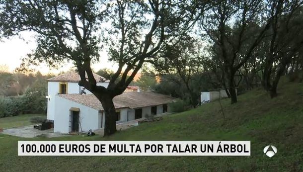 De los 100.000 euros por la tala de un árbol en El Escorial a otras más graves que no se sancionaron