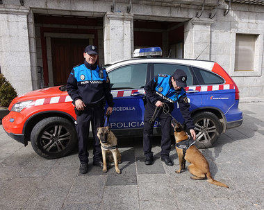 El Pleno de Cercedilla da luz verde a la Unidad Canina de la Policía Local