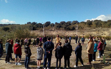 Los escolares de Torrelodones llevaron a cabo una importante replantación de encinas