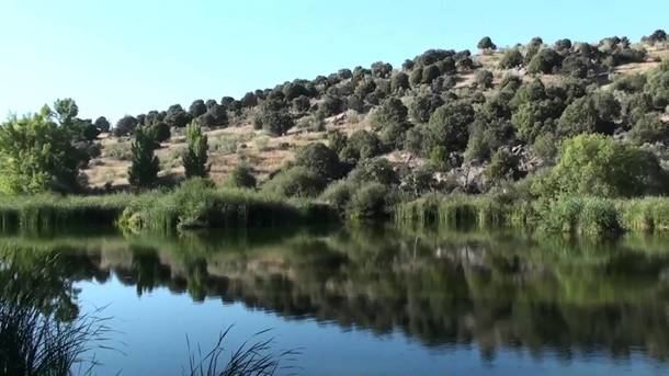 Ecologistas en Acción vuelve a denunciar la falta de vigilancia en el Parque Regional del Río Guadarrama