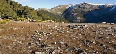 La Comunidad de Madrid se sumó a la celebración del Aurrulaque para la conservación y promoción de la Sierra