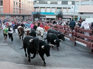 La Comunidad de Madrid firma un convenio con 28 municipios para promocionar los toros