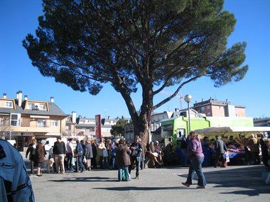 Cambiemos Villalba denuncia que ninguna de las tres finalistas para a remodelación de la plaza de Los Belgas respeta el mercadillo