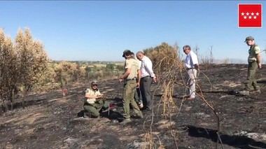 La Guardia Civil confirma que los incendios del Valle de los Caídos de la semana pasada fueron provocados