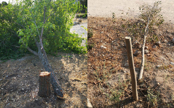 El vandalismo se ceba una vez más con Torrelodones