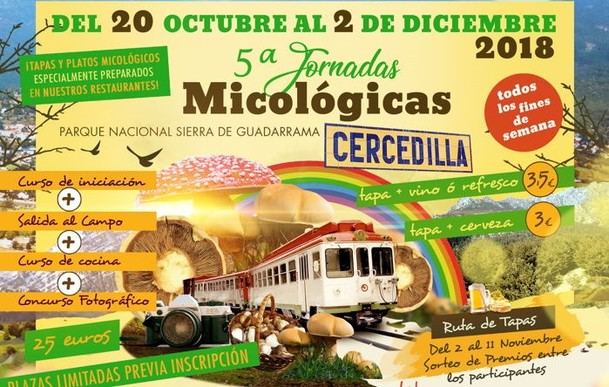 Llegan a Cercedilla las IV Jornadas Micológicas