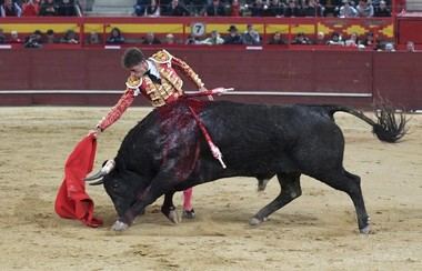 Manuel Escribano y el hierro ‘Miura’, doble triunfo en la Feria de San Blas de Valdemorillo