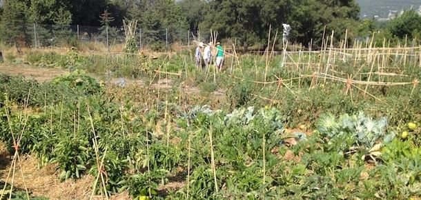 El Ayuntamiento e IMIDRA convocan en El Escorial la II edición de AGROLAB